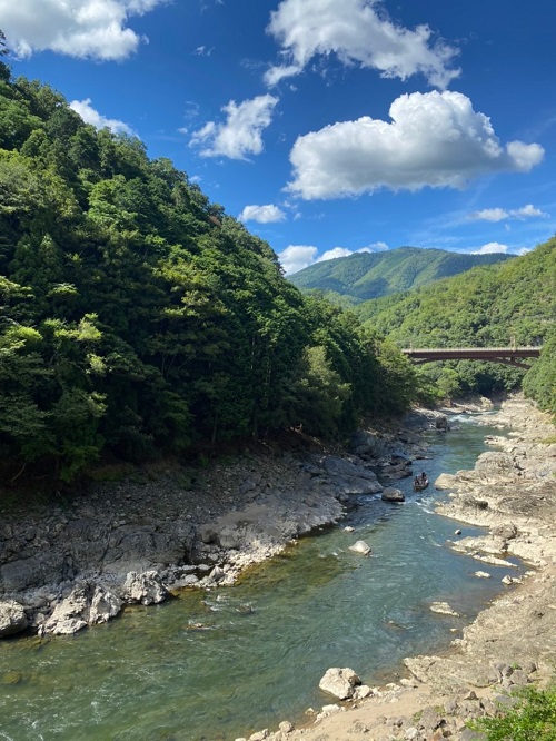 トロッコからの景色