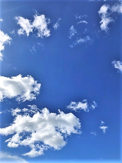 夏の空