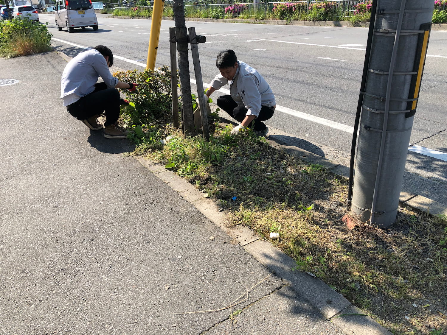 草むしりする所長と山本さん