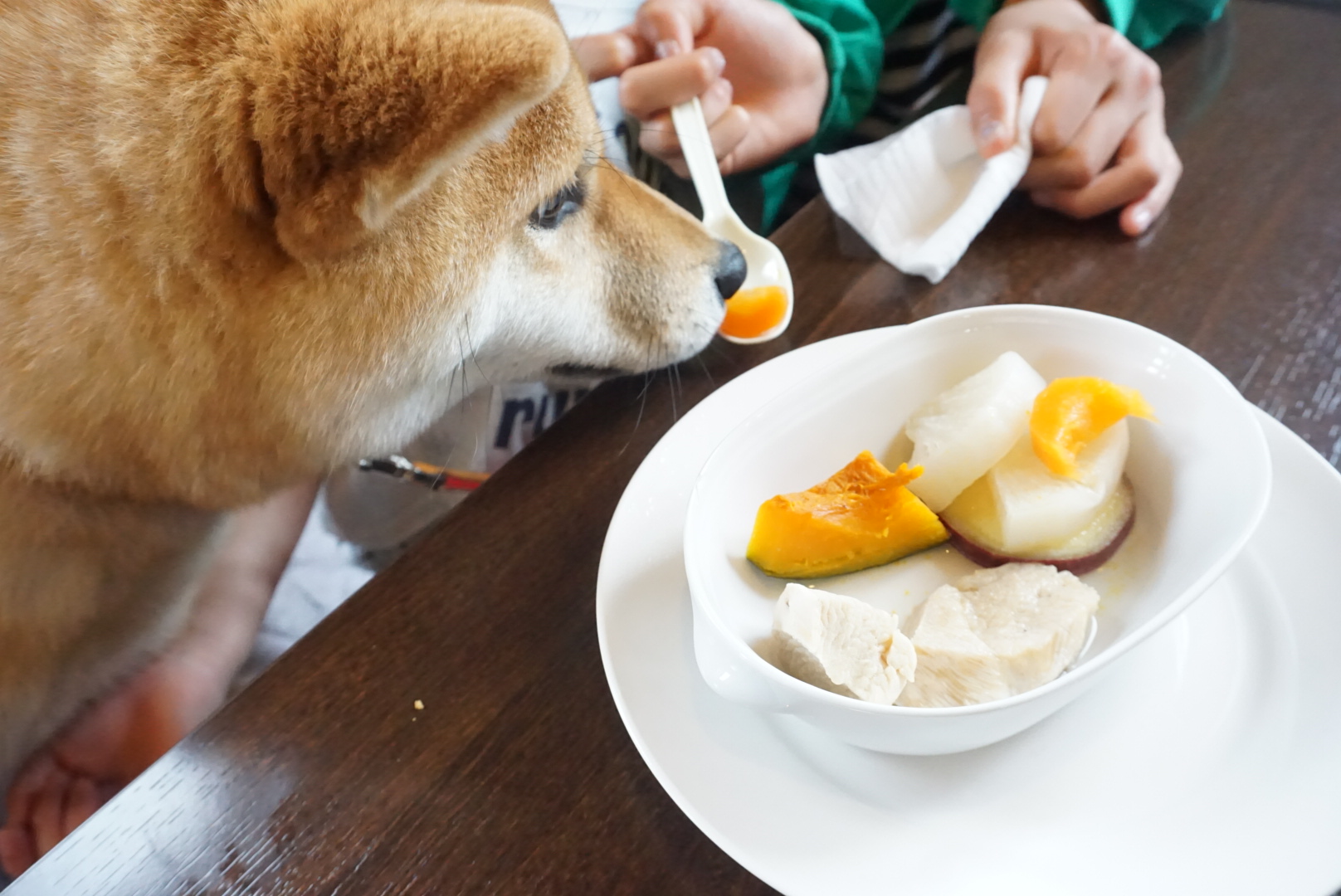 ドックカフェワンズガーデン　すずちゃんにご飯をあげるみうちゃん