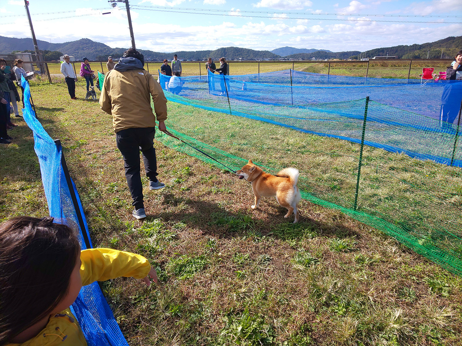 再び走り出すすず